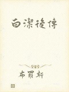 白洁后传封面