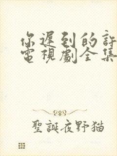 你迟到的许多年电视剧全集免费