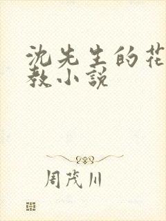 沈先生的花式管教小说