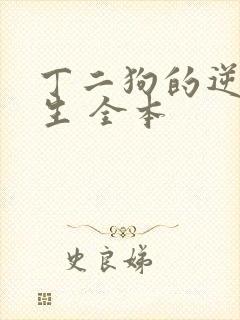 丁二狗的逆袭人生 全本