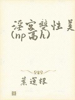 淫宫双性美人录(np高h)封面