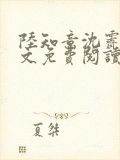 陆知意沈霁川全文免费阅读