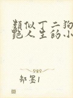 类似丁二狗的猎艳人生的小说