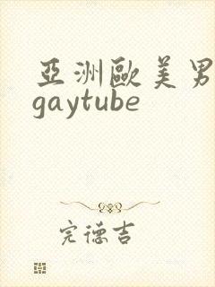 亚洲欧美男同志gaytube