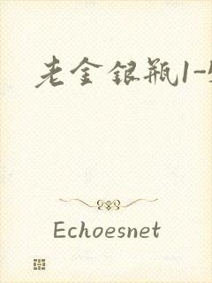 老金银瓶1-5封面