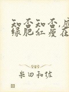 知否知否,应是绿肥红瘦在线观看