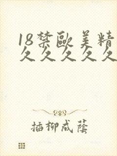 18禁欧美精品久久久久久