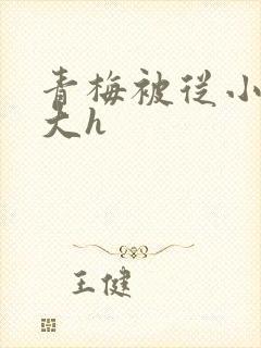 青梅被从小摸到大h封面