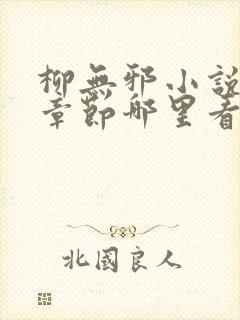 柳无邪小说最新章节哪里看封面