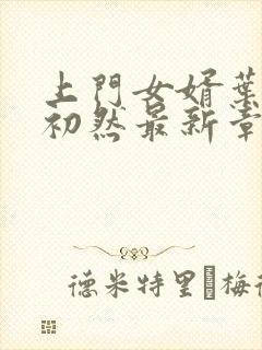 上门女婿叶辰萧初然最新章节