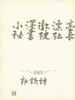 小泽彻漂亮人妻秘书被社长侵犯