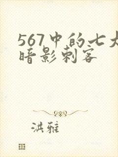 567中的七大暗影刺客