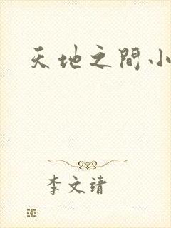 天地之间小说