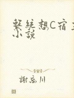 系统想C宿主的小说