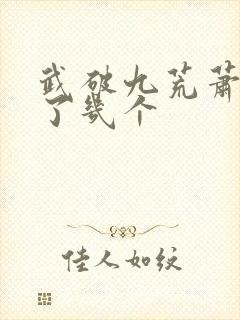 武破九荒萧叶娶了几个封面
