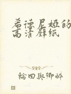 希德尼娅的骑士高清壁纸封面