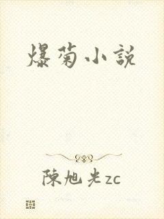 爆菊小说
