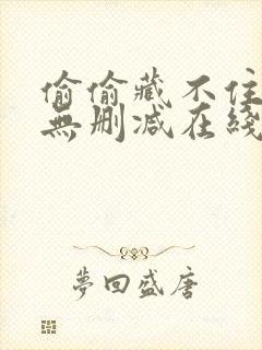 偷偷藏不住小说无删减在线阅读