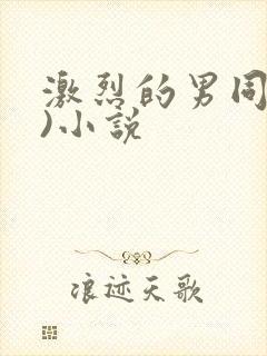 激烈的男同(h)小说