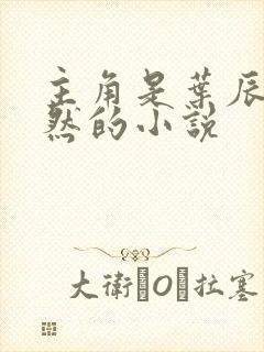 主角是叶辰萧初然的小说