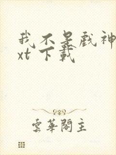 我不是戏神 txt 下载封面