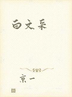 白文采