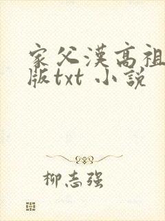 家父汉高祖精校版txt 小说