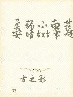 柔弱小白花日常安晴txt笔趣阁