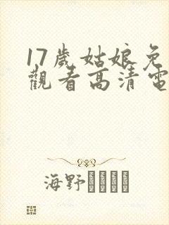 17岁姑娘免费观看高清电视剧韩剧封面