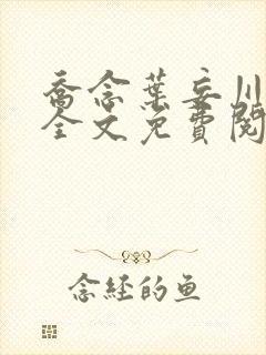 乔念叶妄川正版全文免费阅读最新笔趣阁封面