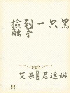 捡到一只黑心小触手