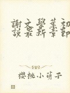 谢文学叶初瑗小说最新章节免费阅读