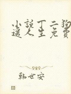 小说丁二狗的逍遥人生免费阅读