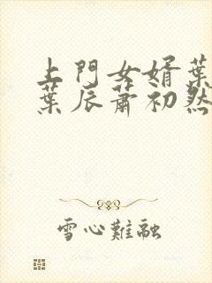 上门女婿叶辰 叶辰萧初然531封面