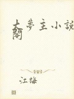 大梦主小说笔趣阁