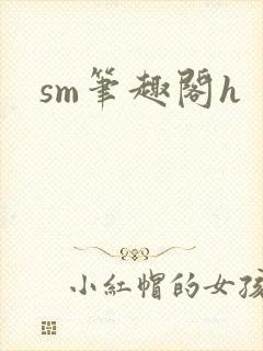 sm笔趣阁h