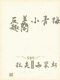 反差小青梅 笔趣阁