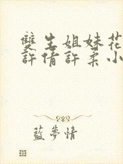 双生姐妹花赵猛许倩许柔小说