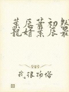 叶辰萧初然上门龙婿叶辰最新