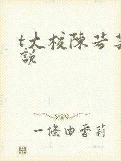 t大校陈若芸小说