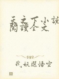 天之下小说在线阅读全文