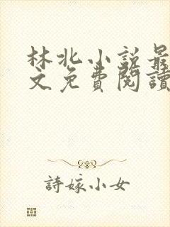 林北小说最新全文免费阅读