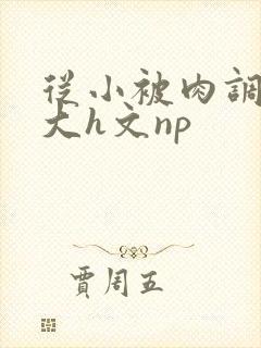 从小被肉调教到大h文np