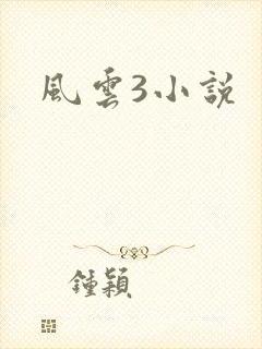 风云3小说