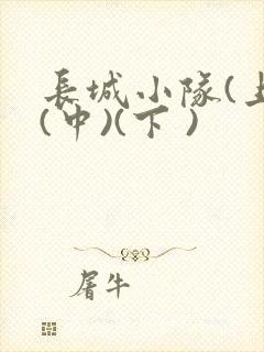 长城小队(上)(中)(下 )
