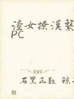 渣女撩汉系统NPC