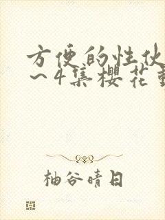 方便的性伙伴1～4集樱花动漫