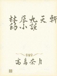 林辰九天斩神诀的小说