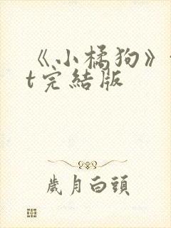 《小橘狗》txt完结版封面