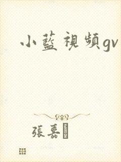小蓝视频gv